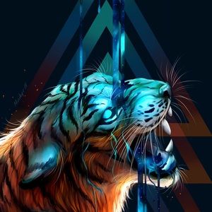 Meet your Posher, Tyler